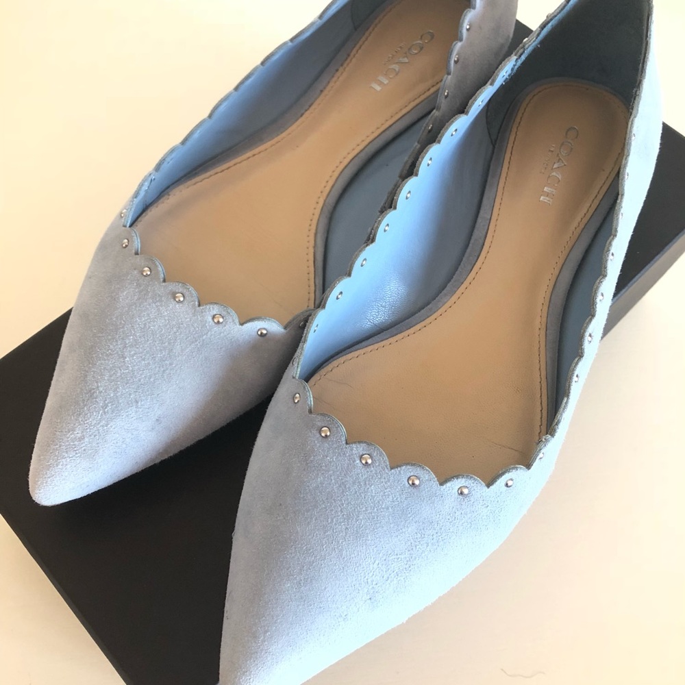 Coach Jill Soft Shine Women Pointed Toe Suede Flat